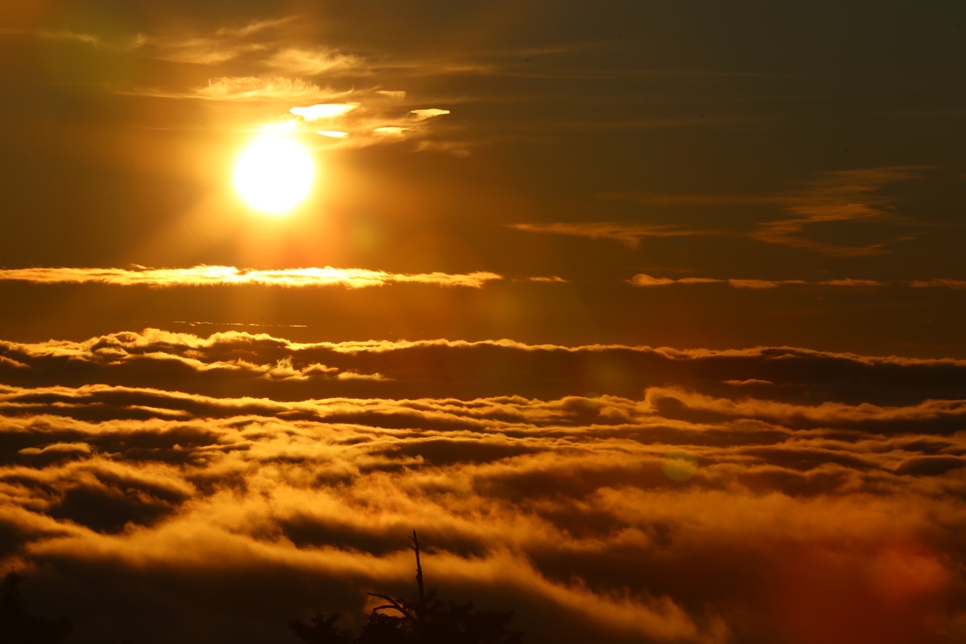 此次阿里山之行最令人难忘的是慈云禅寺附近的云海落日，难得露脸的太阳公公今天特别眷顾，我们先欣赏了云海