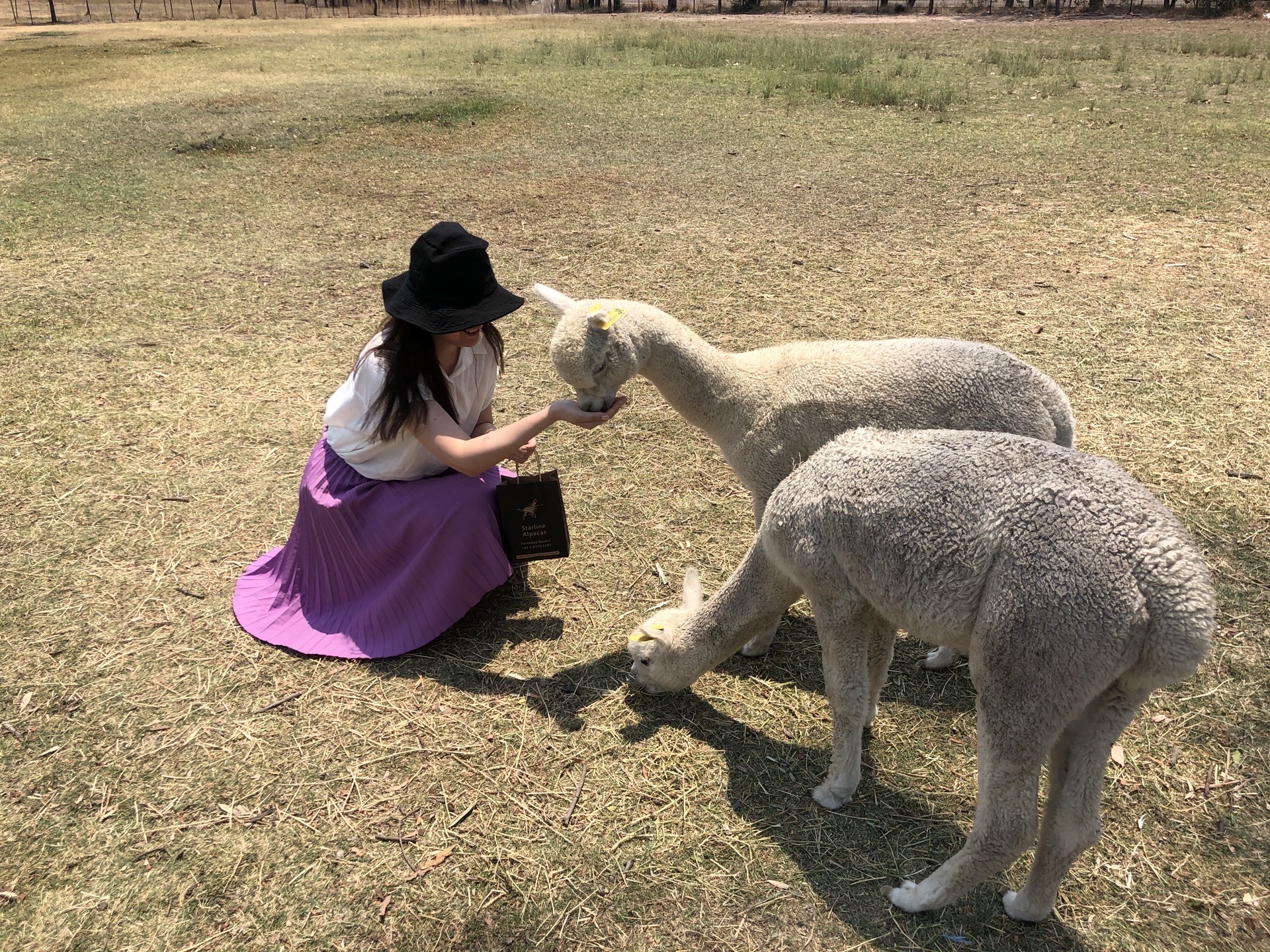 从lake Macquarie回悉尼的路上，特地拐到hunter valley猎人谷去吃个饭，撸个羊