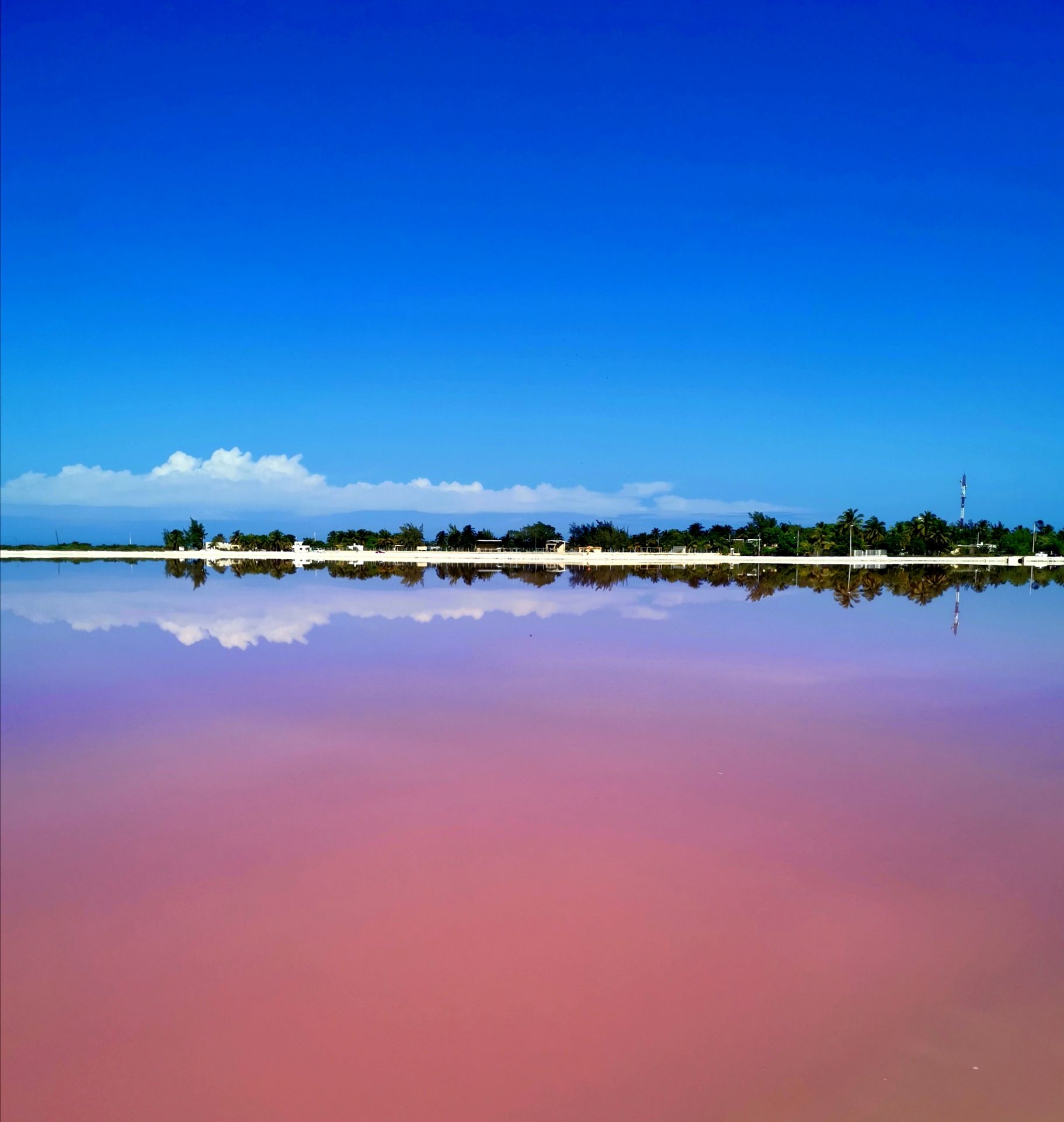 粉紅湖其實是一个私人盐場, 因為其獨特化學作用, 在陽光下会变成粉紅色, 極為美麗壯觀。参觀完便坐快