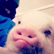 二十岁滴小青年