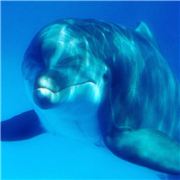 一直爱着你从未改变