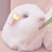 小三力的小阿水