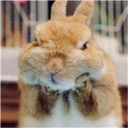 雅玛里克山上的跟头