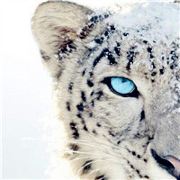 听说要经常改名