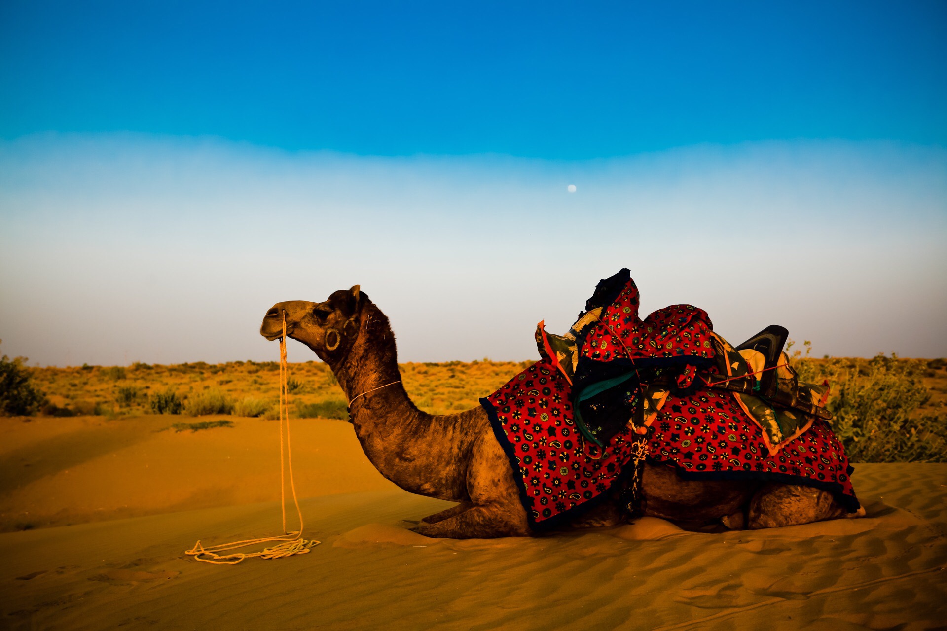 骆驼沙漠之旅，是Jaisalmer最火热的旅游项目。中午2：00，我们坐着越野车向沙漠出发。路过的每