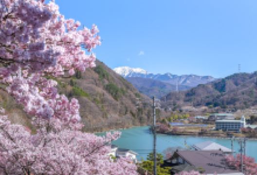 高远城址公园景点图片