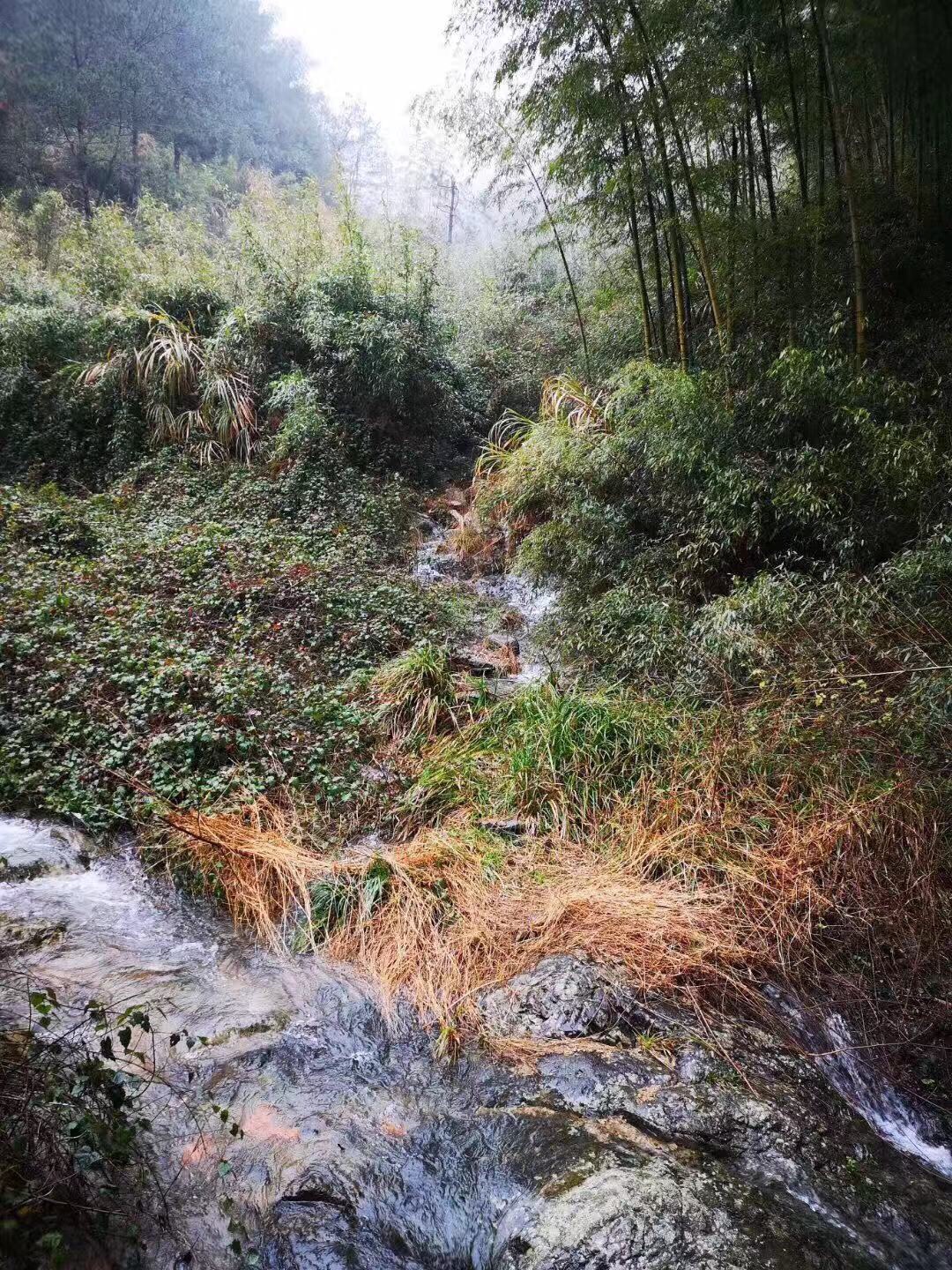 天福山