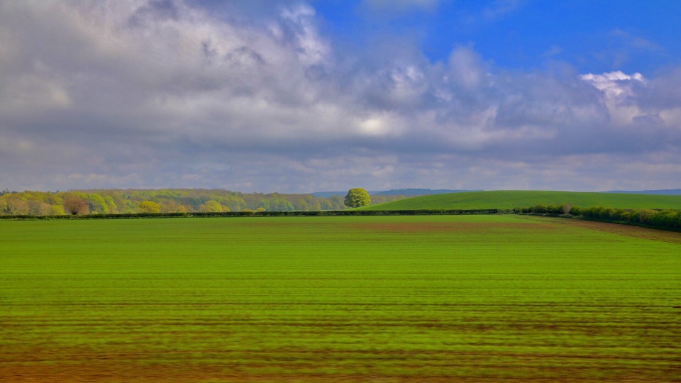 苏格兰风情(壁秀花园店)餐厅图片