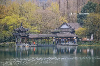 浴鹄湾