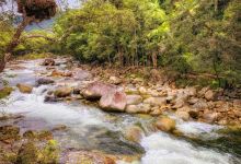 Daintree National Park景点图片