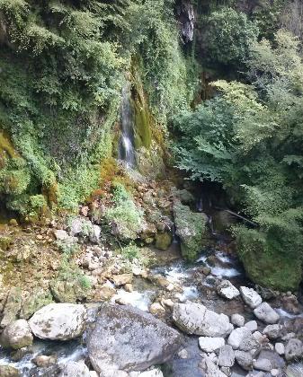 一欧元看到的美景 --卢普峡谷 这里可以欣赏到森林中小而美丽的瀑布，这里是避暑的好地方，躺在水里是凉