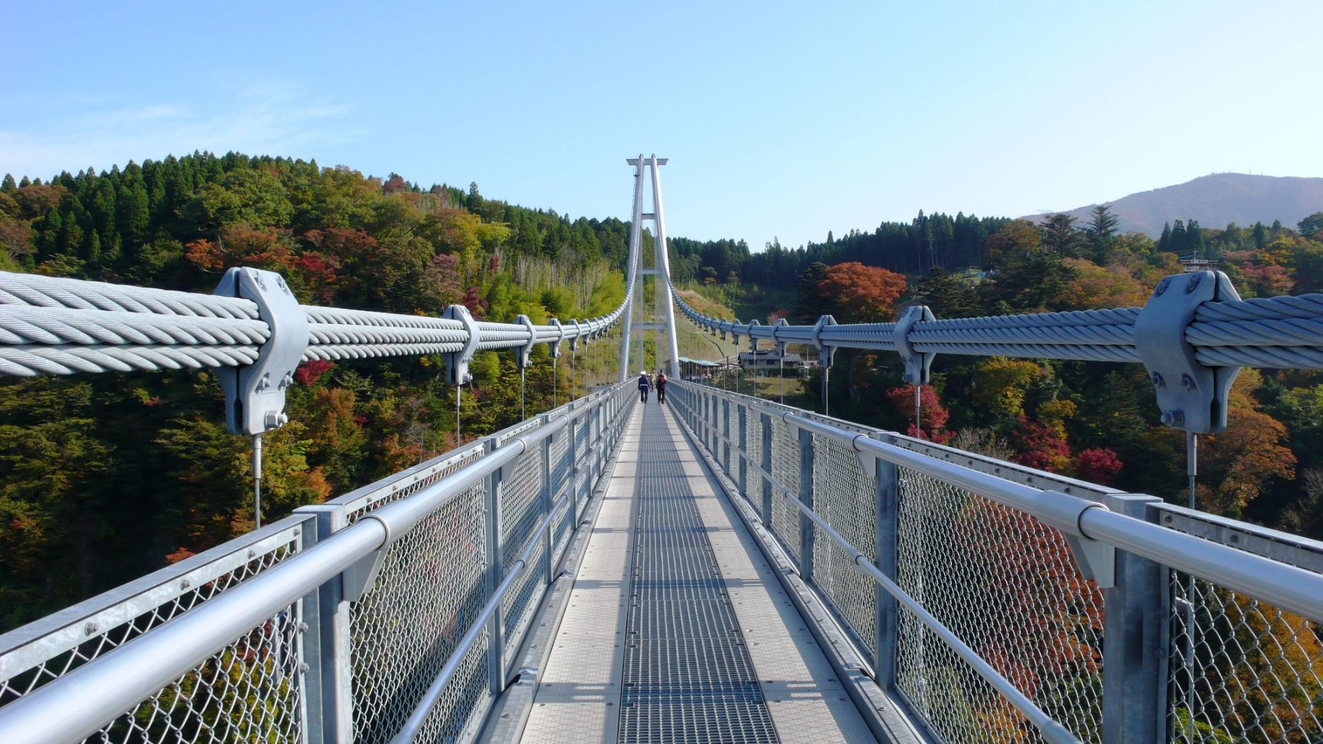 据说是全日本最大的人行吊桥。正是层林尽染时。
