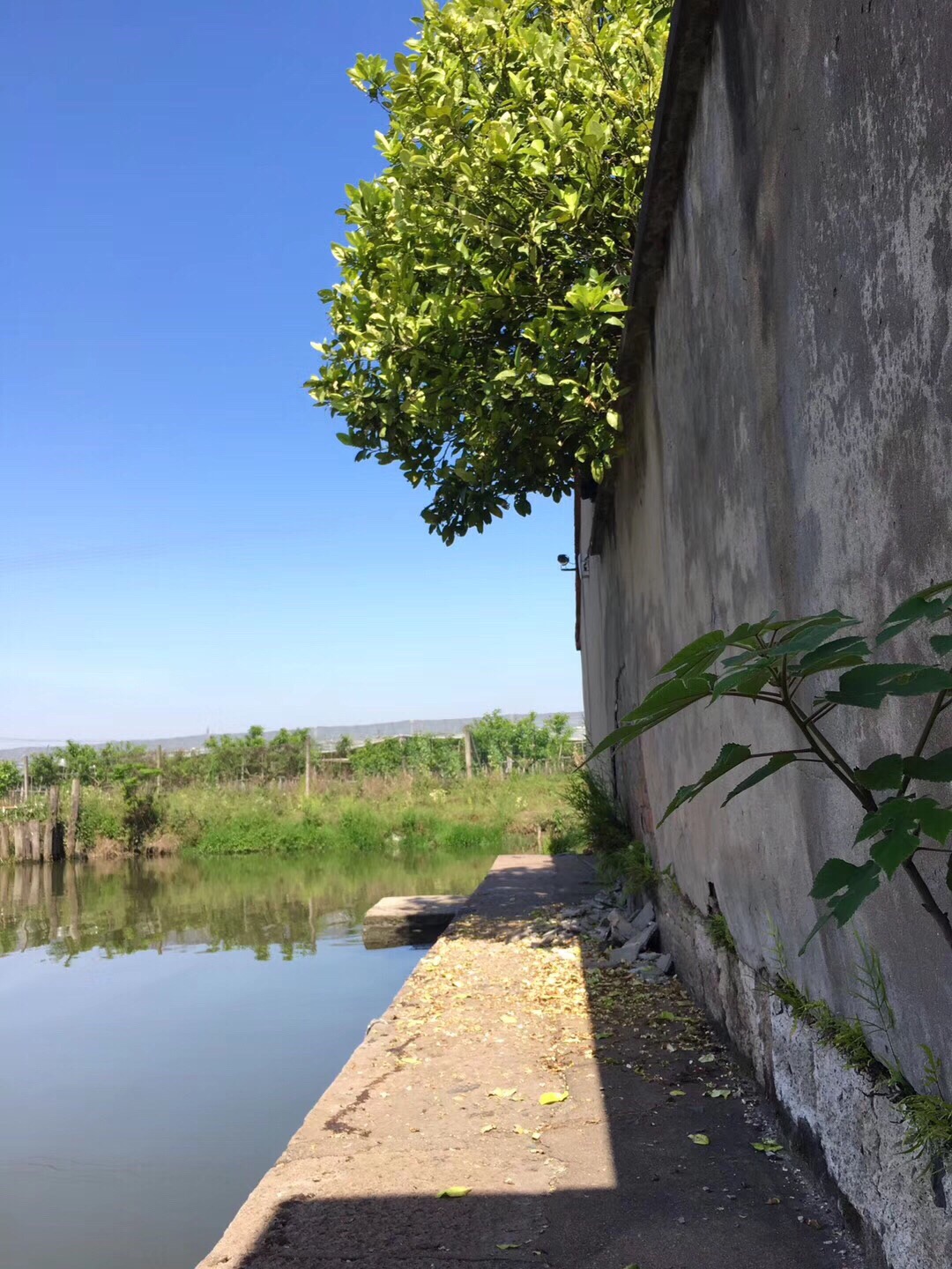 檀渎村
