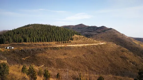 嵯峨山