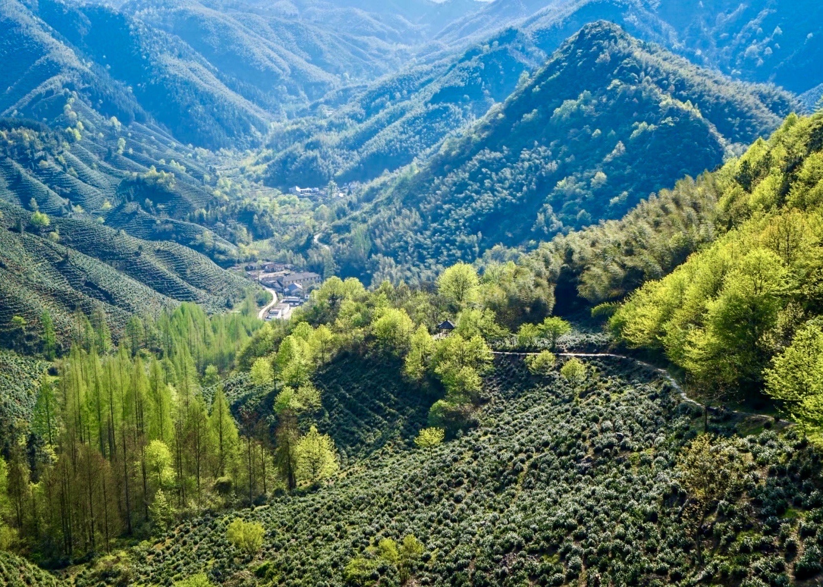 箬岭古道