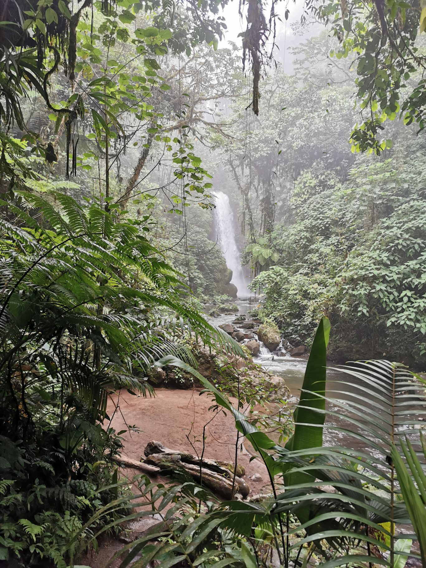 拉巴斯瀑布花园  哥斯达黎加圣何塞打卡景点之一，景色优美，动物特别丰富的瀑布公园，游玩以后，感觉瀑布