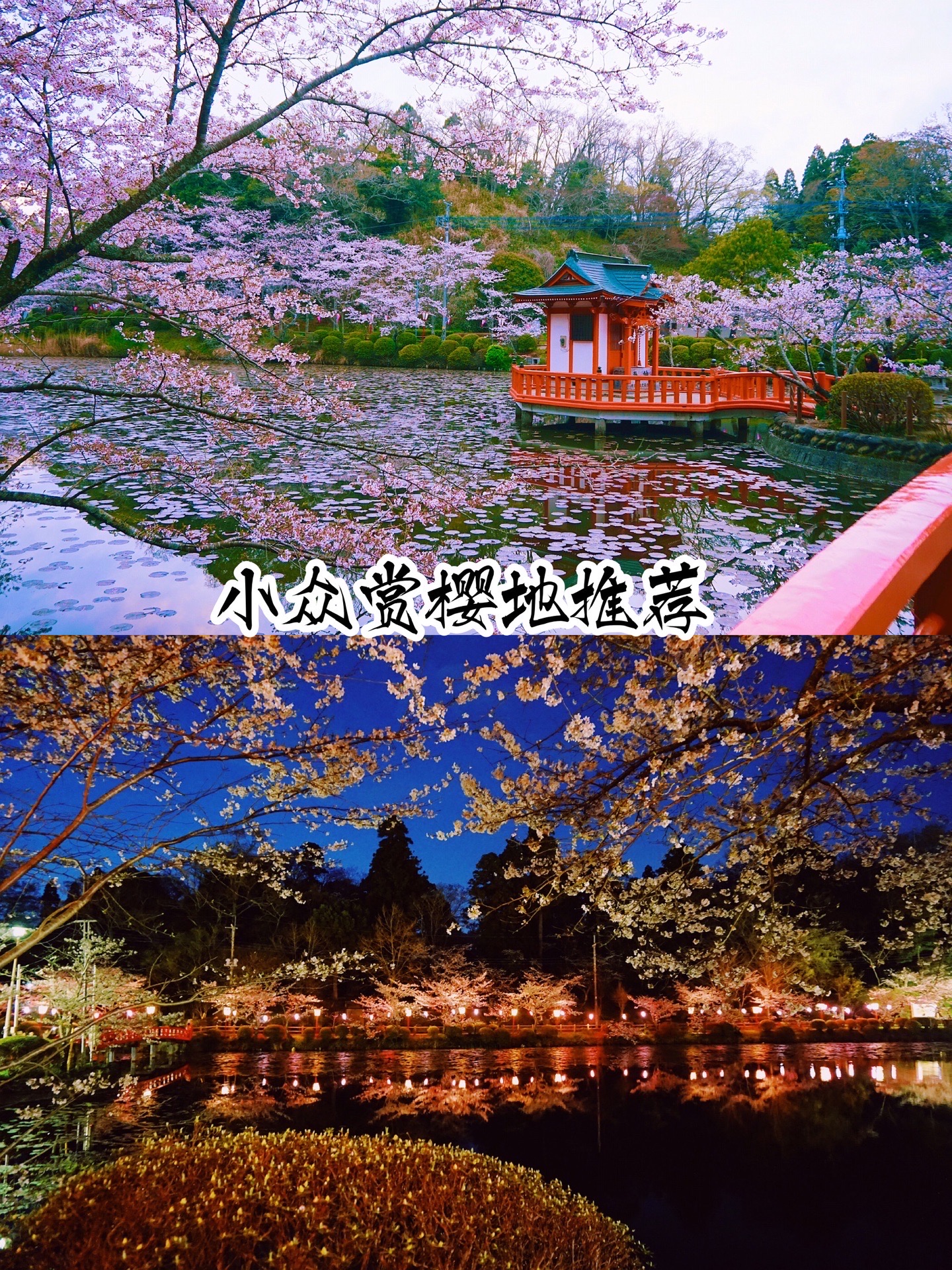 旅行·日本东京周边·小众安逸极美赏樱地茂原公园  🌸2016年的时候，我和小伙伴们决定，去一个小众的