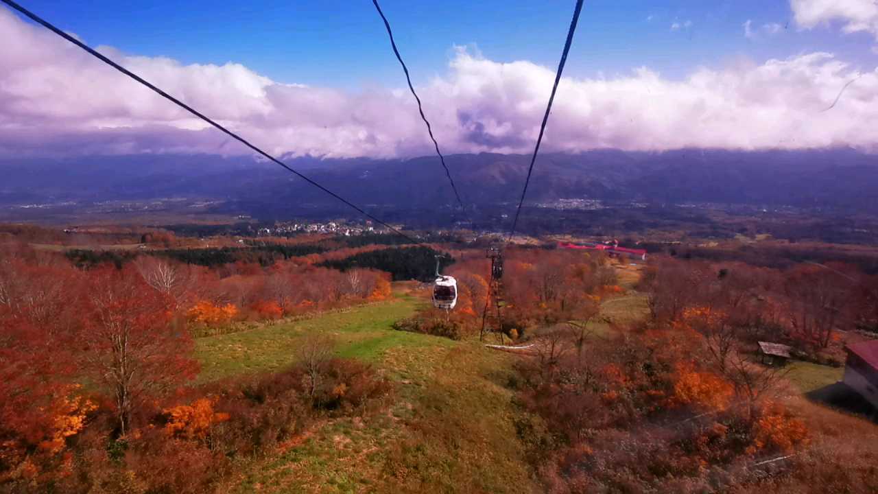 11月初，深秋，在  新潟县·日本  ，乘 “  妙高高原缆车  ”，赏枫，下山！