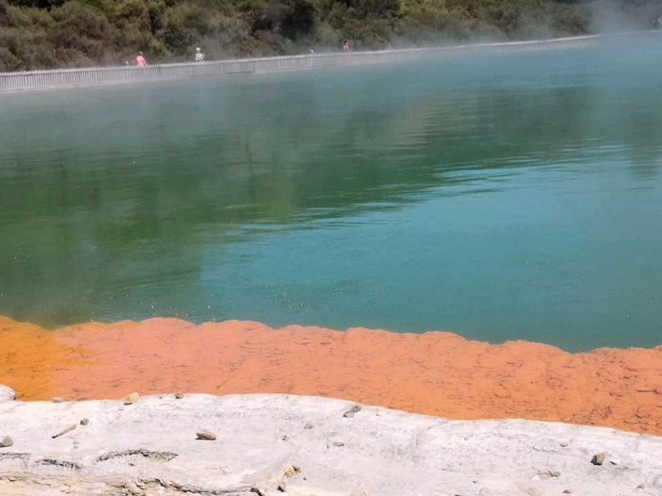 在怀奥塔普地热保护区，众多自然地热火山景观中，“香槟池”是最美的一个火山池！