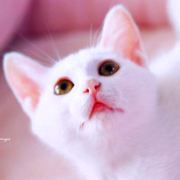 非常美的小盒子