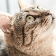 巛只身闯天涯彡