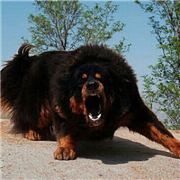 在海里漂来漂去的瓶子