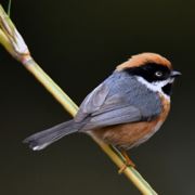 哎好名字全被注册了