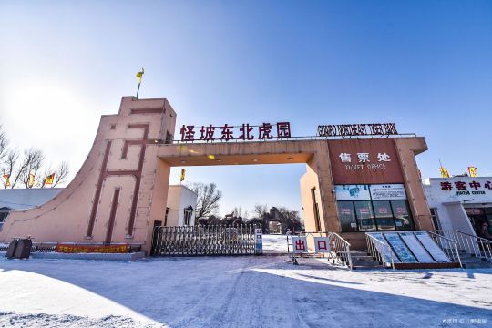 怪坡东北虎园