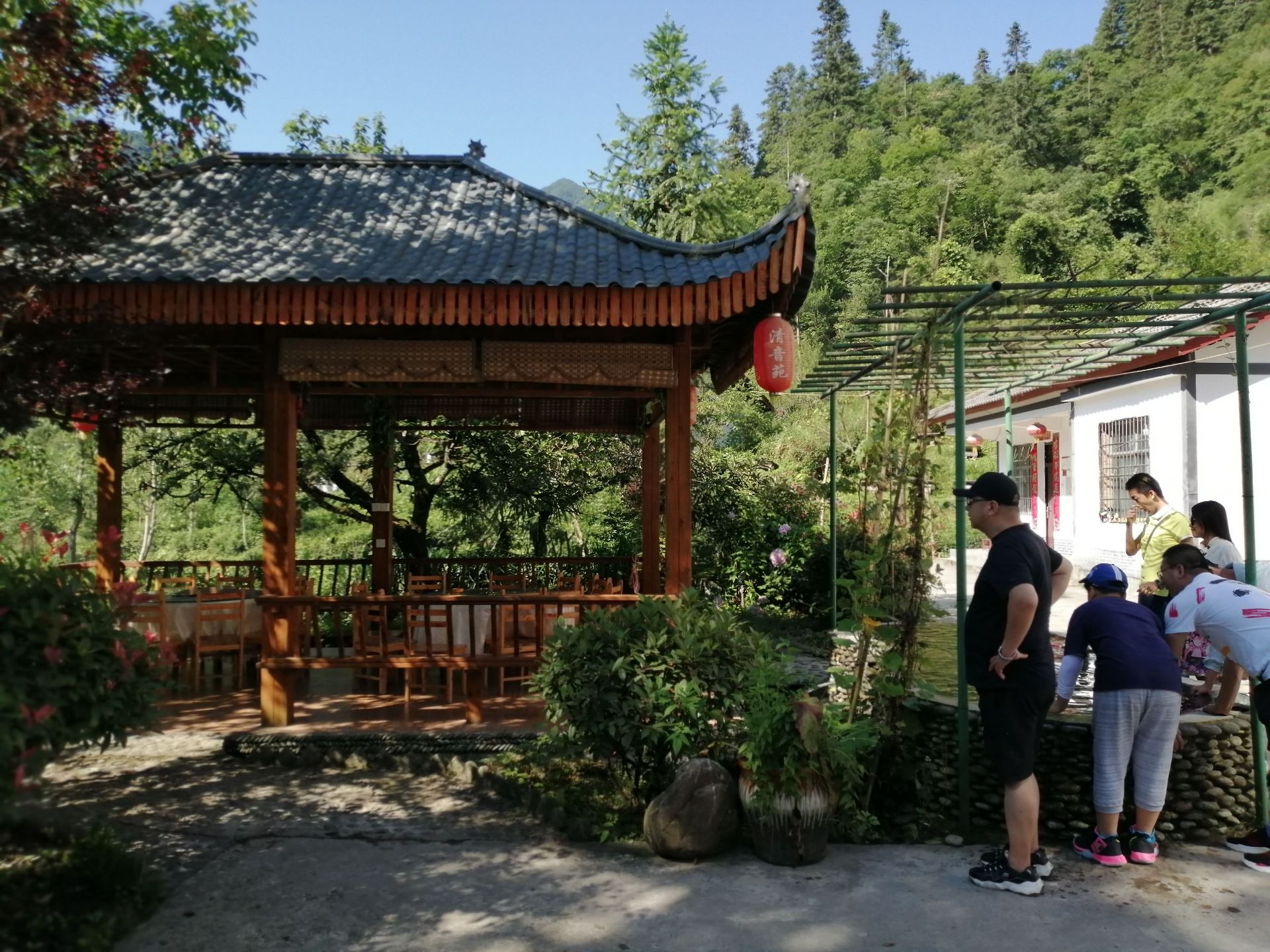 陇南阳坝梅园沟