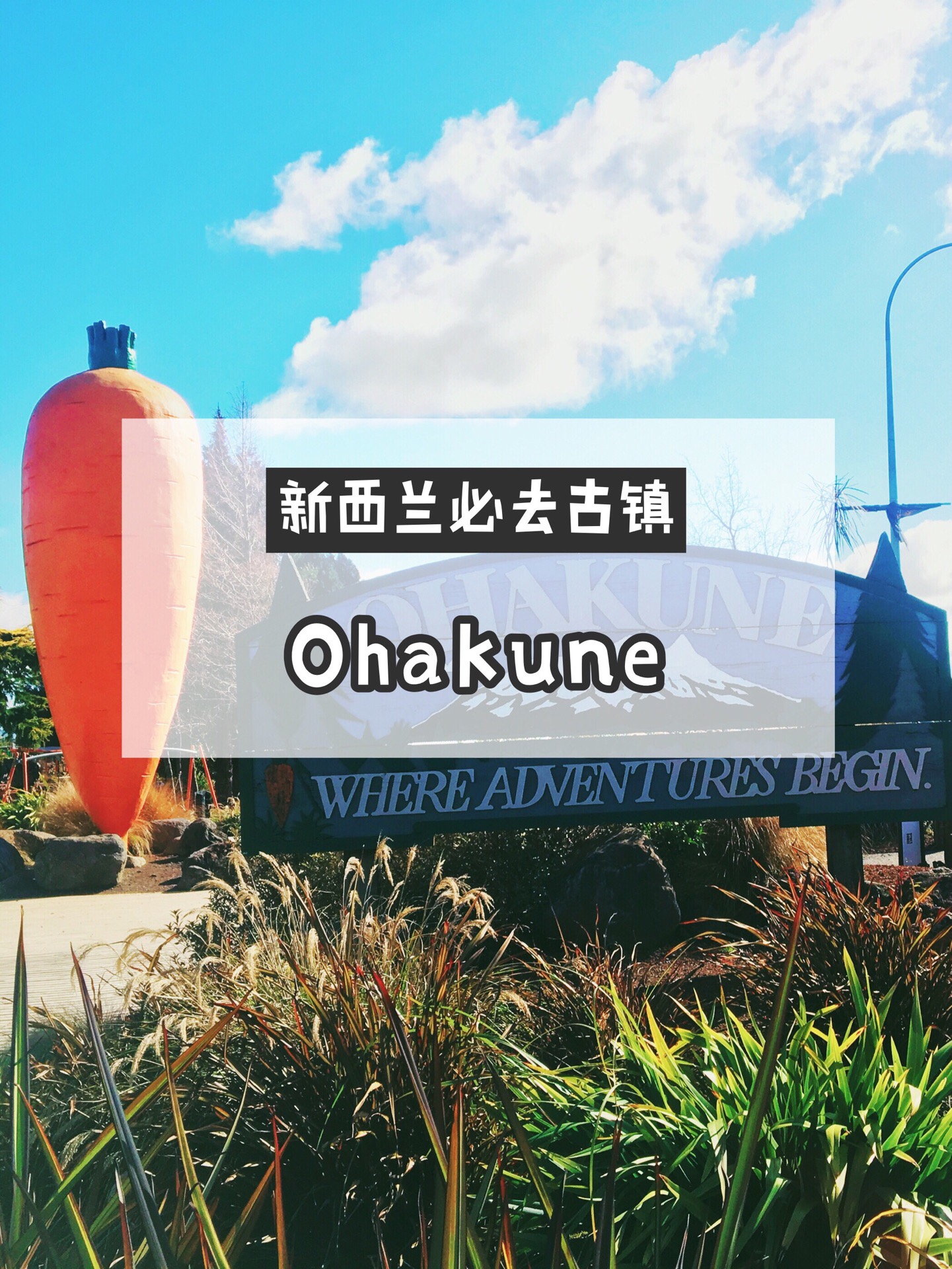 新西兰必去古镇－📍Ohakune，这里的胡萝卜见者有份？💃🏻 - 新西兰🇳🇿有着各种各样的特色小镇，