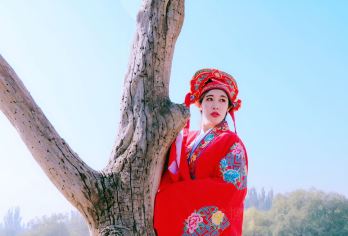 西夏陵+贺兰山岩画+镇北堡西部影城一日游【纯玩小团】【[三个景点门票]套餐含西夏王陵（含3D电影）贺兰山岩画（含两馆）西部影视城（清城、明城、老银川街）】