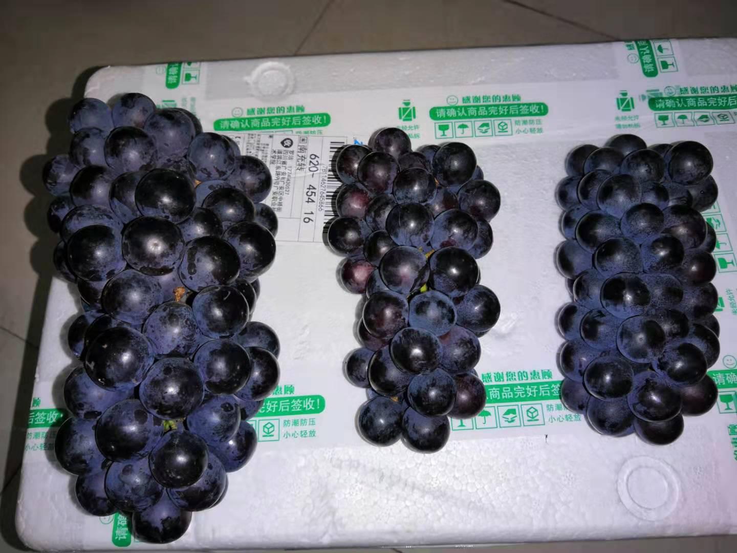 常青宫