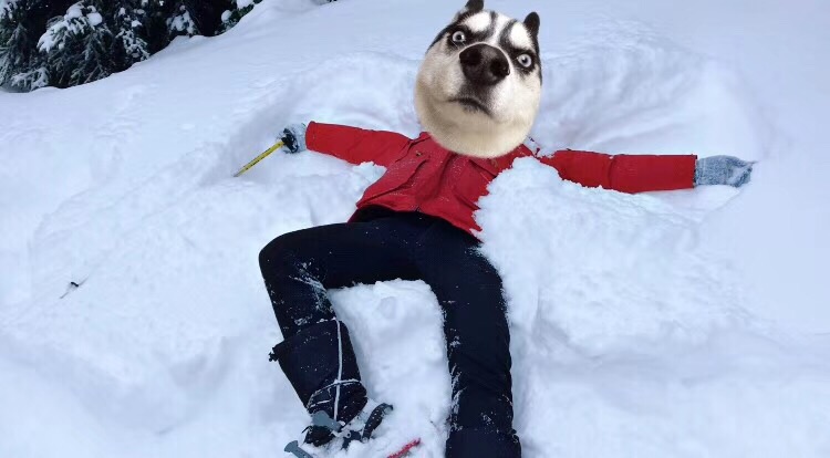 【冬日旅行如何拍出人像大片】一直有朋友问加拿大那些“雪中大片”是怎么拍的。其实一点都不难。今天给大家