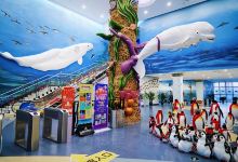 芜湖新华联大白鲸海洋公园景点图片