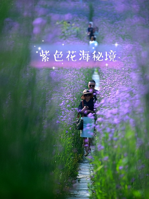 重庆周边 | 30亩紫色花海秘境绽放，人少还免费 ✨✨荣昌在我的印象里，最出名的是鹅和猪，却不知道这
