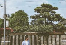 腊梅观光园景点图片