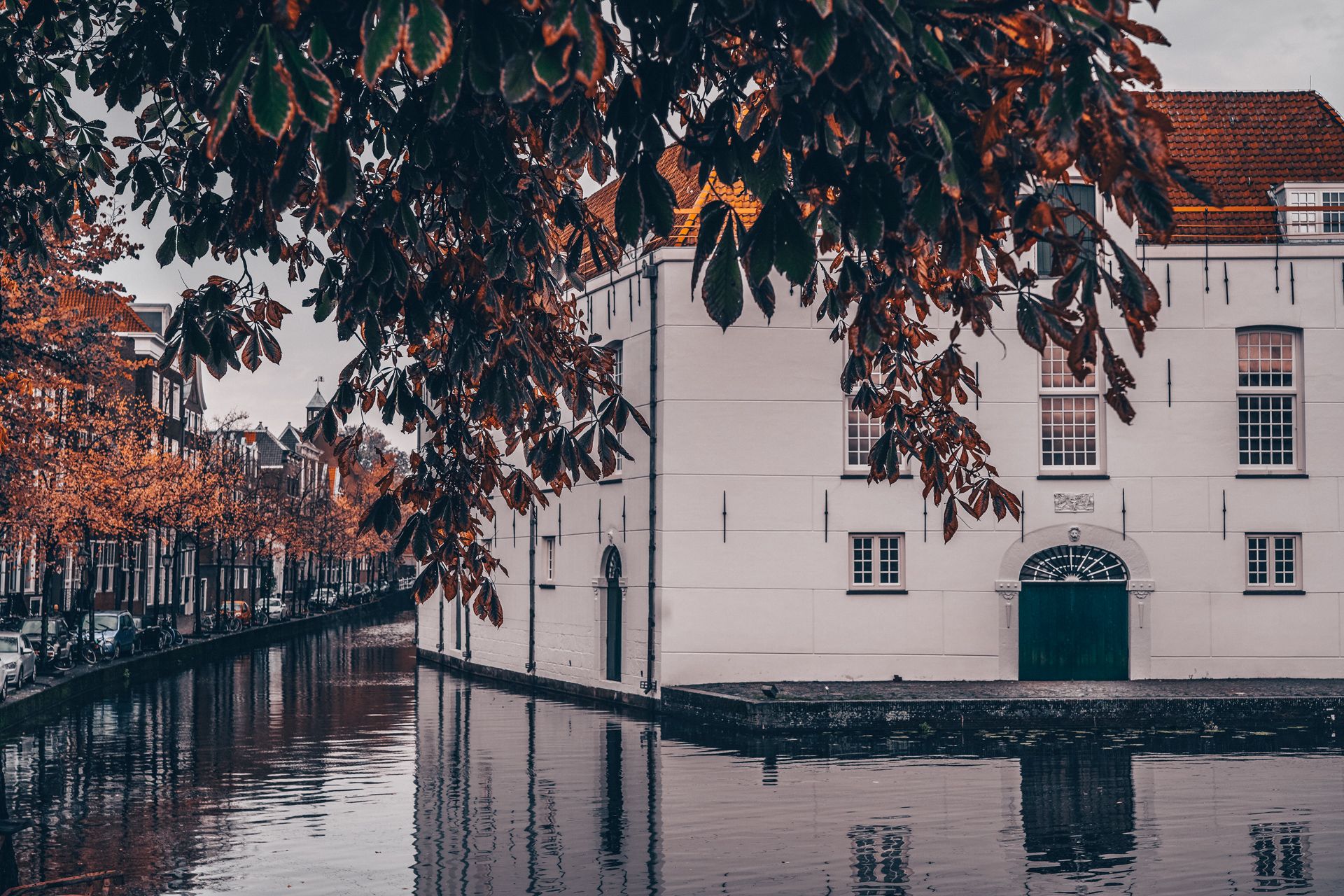 🇳🇱 代尔夫特的秋天  一座古老而安静的小城，这里没有阿姆斯特丹那样喧嚣的人群和车流，只有宁静的街道