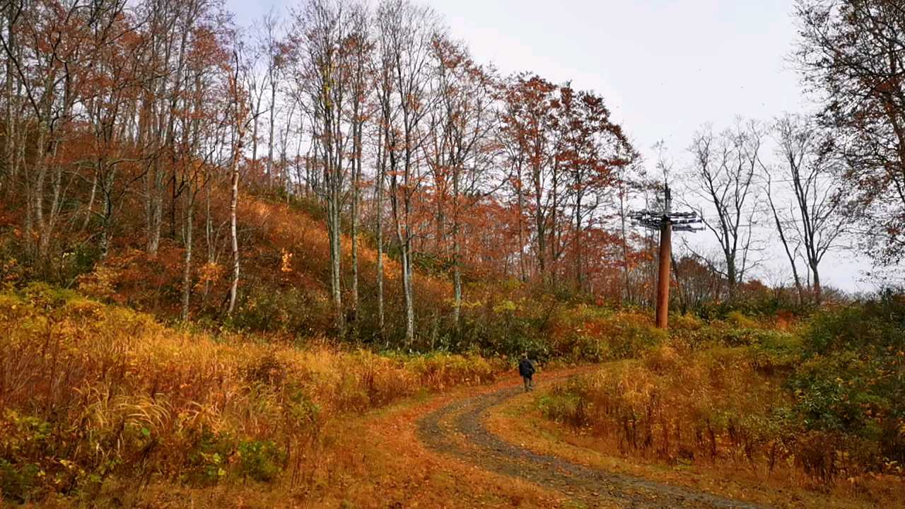 11月初，大家，跟着我们，一起走进， 新潟县·日本  ，“  妙高高原  ”，乘 “  妙高高原缆车
