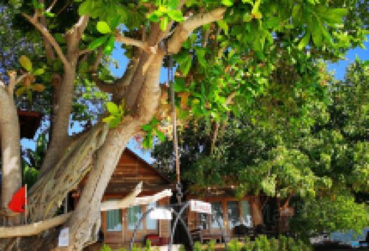 On The Rocks Restaurant at Serendipity美食图片