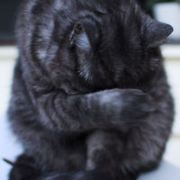 善良的春天已来到