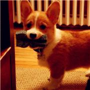 小小小小小潘澜