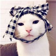 潇洒牙子禧毓克