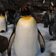 你不说我便不知道