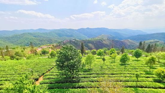 China Pu’er Tea Museum
