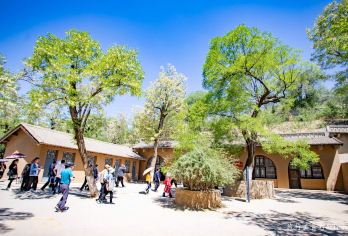 延安革命纪念馆+枣园+杨家岭+红街+演出+宝塔山一日活动【酒店上门接送 王家坪旧址 枣园旧址 杨家岭旧址 延安革命纪念馆 远观宝塔山拍照 提供半价优惠门票服务】