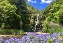 瀑布谷景点图片