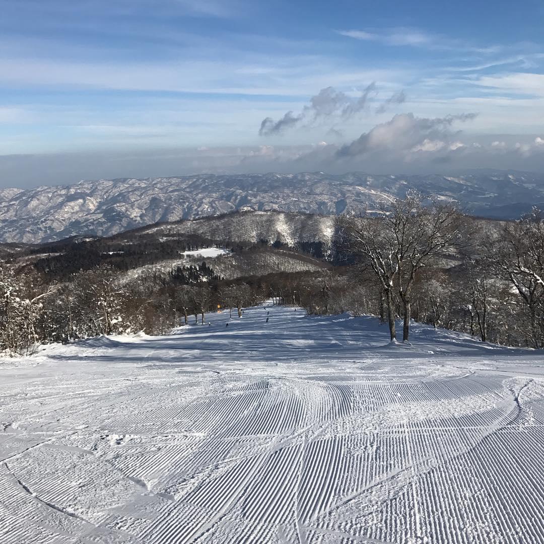 野澤溫泉滑雪場旅遊攻略指南 野澤溫泉滑雪場評價 野澤溫泉滑雪場附近推薦 Trip Com
