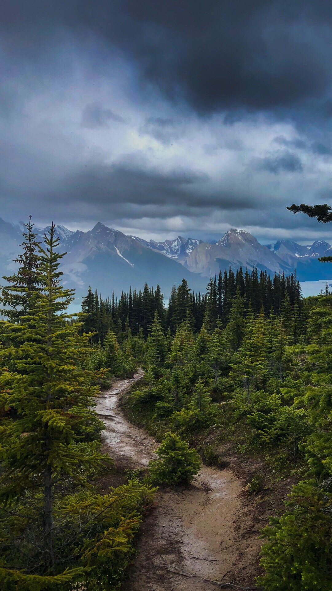 在maligne lake附近的步行道