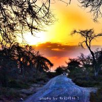 Entonet图片