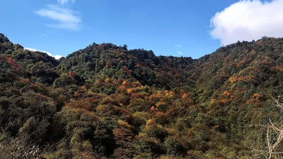 泥巴山